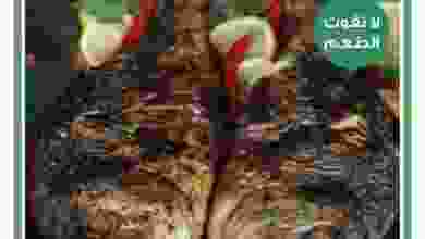el3rod.com00001-254