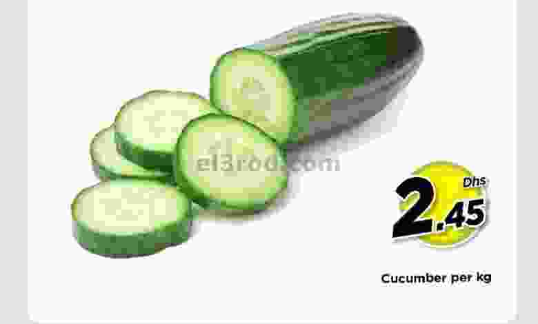 el3rod.com00001-268