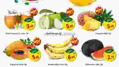 el3rod.com00001-276