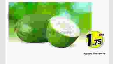 el3rod.com00001-298