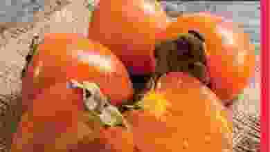 el3rod.com00001-317