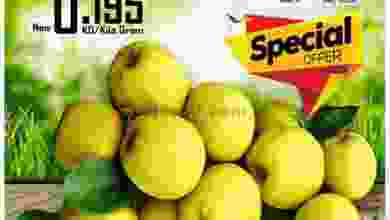 el3rod.com00001-335