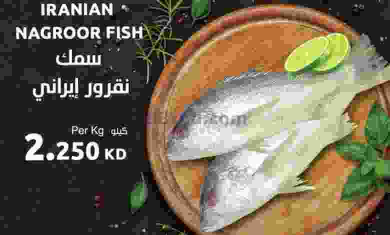 el3rod.com00001-406