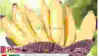 el3rod.com00001-439