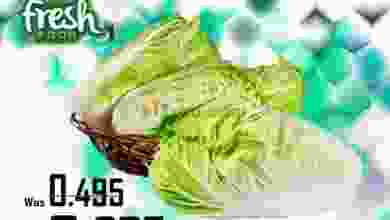 el3rod.com00001-562