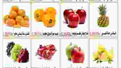 el3rod.com00001-565
