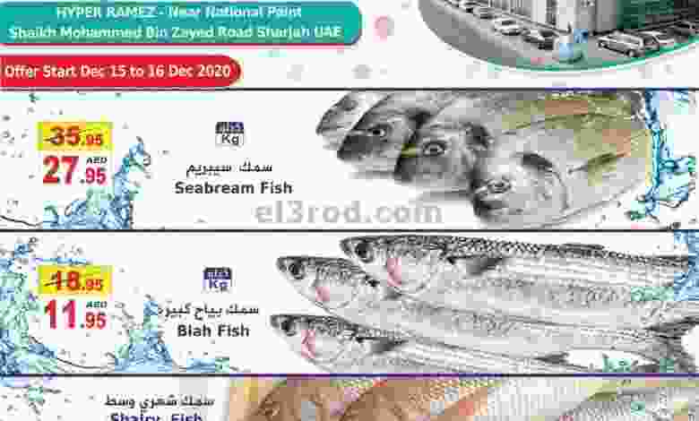el3rod.com00001-578