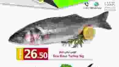el3rod.com00001-581
