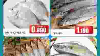 el3rod.com00001-607