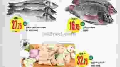 el3rod.com00001-665