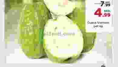el3rod.com00001-678