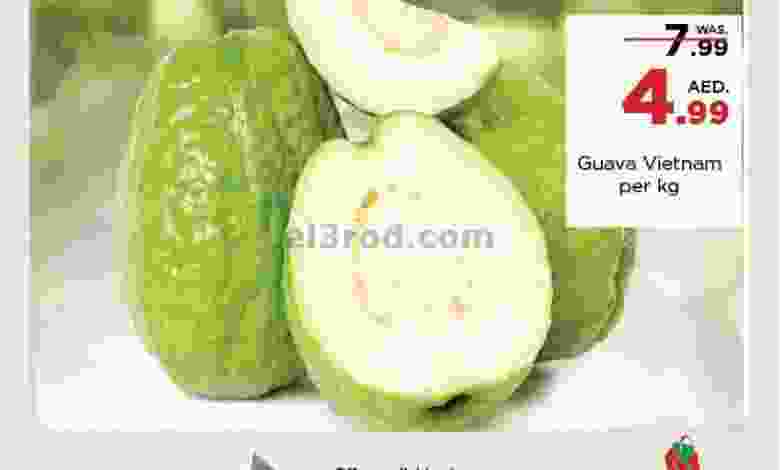 el3rod.com00001-678
