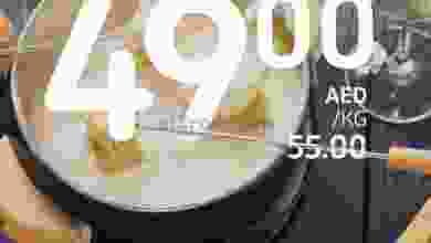 el3rod.com00001-702