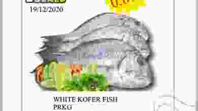 el3rod.com00001-764