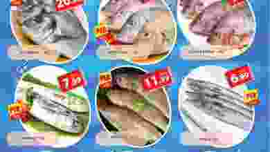 el3rod.com00001-829