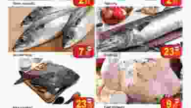 el3rod.com00001-845
