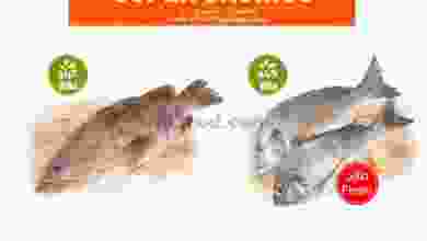 el3rod.com00001-86
