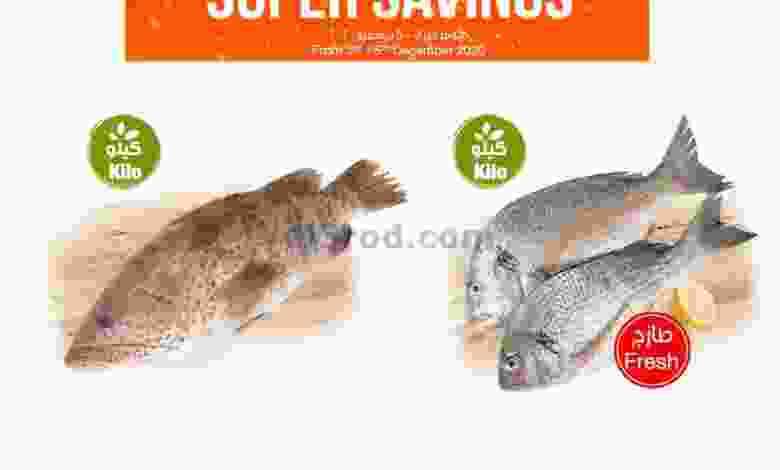 el3rod.com00001-86