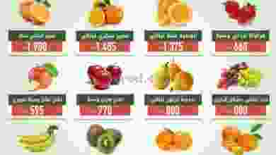 el3rod.com00003-587