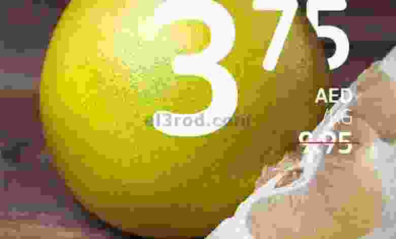 el3rod.com00003-919