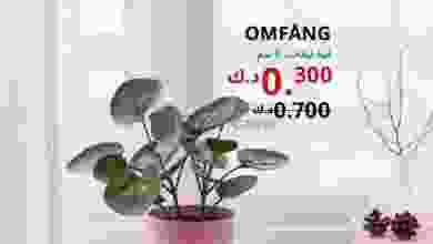 عروض ايكيا الكويت من 28-12-2020 منوعات ايكيا el3rod.com00008-493