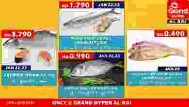 el3rod.com00001-1038