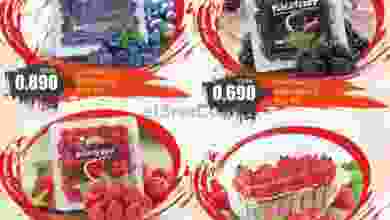 el3rod.com00001-117