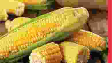 el3rod.com00001-1271