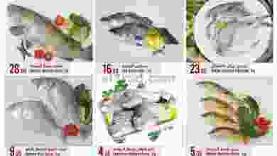 el3rod.com00001-1281