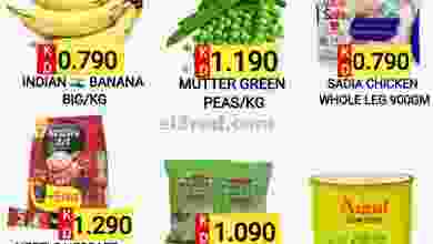 el3rod.com00001-1313