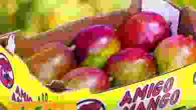 el3rod.com00001-1425