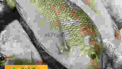 el3rod.com00001-1426