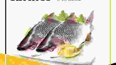el3rod.com00001-1510