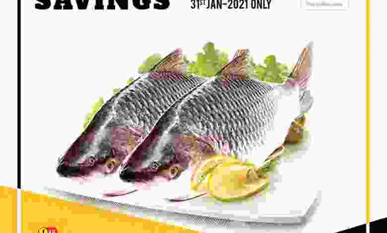 el3rod.com00001-1510