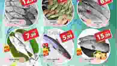 el3rod.com00001-1515