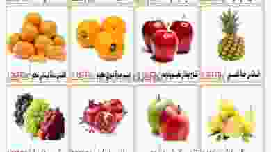 el3rod.com00001-152