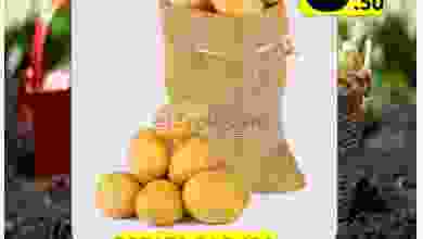 el3rod.com00001-1523