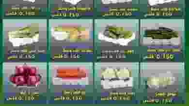 el3rod.com00001-154