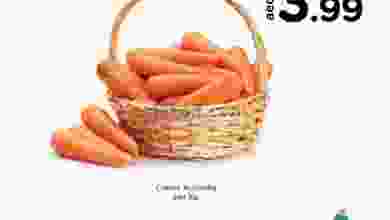 el3rod.com00001-237