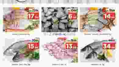 el3rod.com00001-257