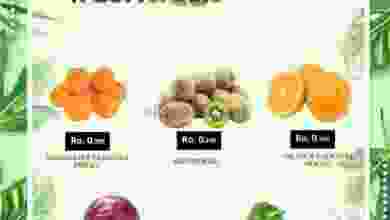 el3rod.com00001-288