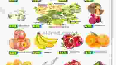 el3rod.com00001-319