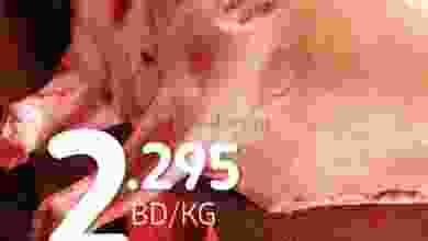 el3rod.com00001-363