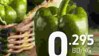 el3rod.com00001-364