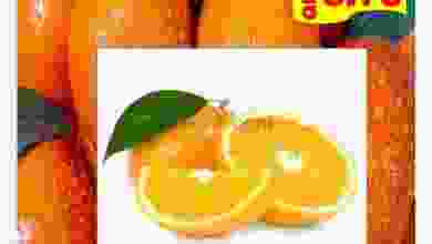 el3rod.com00001-456