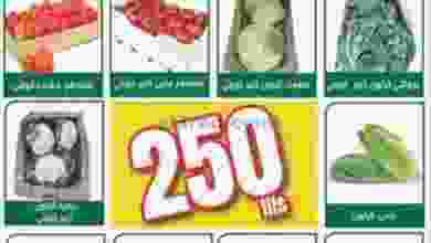 el3rod.com00001-493