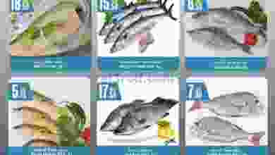 el3rod.com00001-505