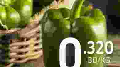 el3rod.com00001-53