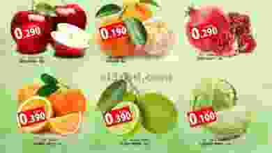 el3rod.com00001-534