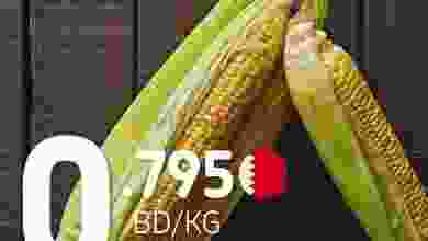 el3rod.com00001-560